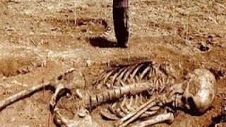 นักโบราณคดี ค้นพบกระดูกมนุษย์ที่มีอายุเก่าแก่ที่สุดในโลก ที่ซาอุดีอาระเบีย