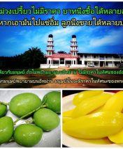 เพิ่มมูลค่าตัวเอง.. ด้วยการเพาะบ่มอีหม่าน