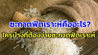 ซะกาตฟิตเราะห์คืออะไร?  ใครบ้างที่ต้องจ่ายซะกาตฟิตเราะห์?
