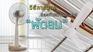 วิธีการดูแลพัดลมที่ไม่ควรละเลย พร้อมวิธีทำความสะอาดแบบง่าย ๆ