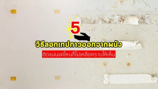 5 วิธีลอกเทปกาวออกจากผนัง ติดแน่นแค่ไหนก็ไม่เหลือคราบให้เห็น
