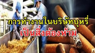 สถาบันฟัตวาอียิปต์ระบุการทำงานในบริษัทบุหรี่เป็นสิ่งต้องห้ามในศาสนาอิสลาม