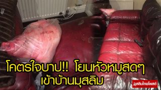 คนร้ายใจบาป! โยนหัวหมูสดๆ เข้าไปในบ้านของครอบครัวชาวมุสลิม