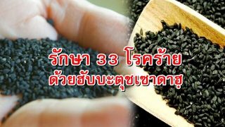 สุดยอด 33 โรครักษาด้วย ฮับบะตุชเซาดาฮฺ