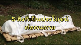 5 สิ่งที่เป็นประโยชน์ต่อคนตาย