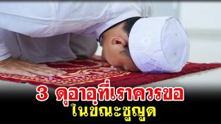 3 ดุอาอฺที่เราควรขออย่างยิ่งในขณะซูญูด