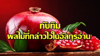 ทับทิม ผลไม้ที่กล่าวไว้ในคัมภีร์อัลกุรอ่าน