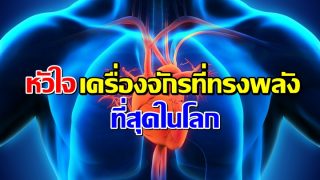 หัวใจ..เครื่องจักรที่ทรงประสิทธิภาพมากที่สุดในโลก