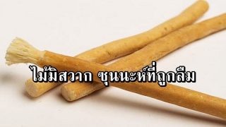 ไม้ซิว๊าก ซุนนะห์ที่ถูกละเลย