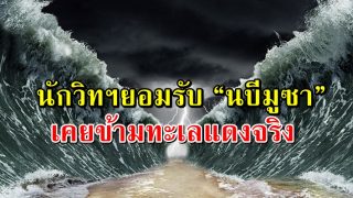 นักวิทยาศาสตร์ยอมรับ “นบีมูซา” เคยข้ามทะเลแดงจริงตามพระคัมภีร์ระบุ (มีคลิป)