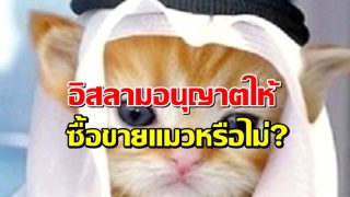 อิสลามอนุญาตให้ซื้อขายแมวหรือไม่?