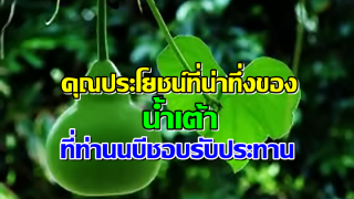 ประโยชน์ที่น่าทึ่งของ น้ำเต้า ที่ท่านนบี(ซล) ชอบรับประทาน