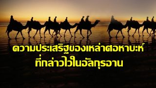 ความประเสริฐของเหล่าศอหาบะห์ที่กล่าวไว้ในอัลกุรอาน