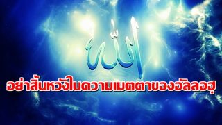 อย่าสิ้นหวังในความเมตตาของอัลลอฮฺ