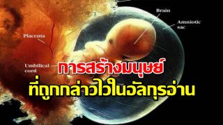 การสร้างมนุษย์ ที่ถูกกล่าวไว้ในอัลกุรอ่าน
