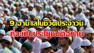 9 อาม้าลในชีวิตประจำวัน ที่จะเป็นประโยชน์ต่อท่าน