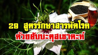 29 สูตรรักษาสารพัดโรค ด้วยฮับบะตุสเซาดะห์