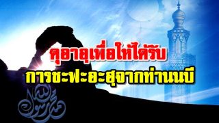 ดุอาอฺเพื่อให้ได้รับการชะฟะอะฮฺจากท่านนบี(ซล)ในวันกิยามะห์