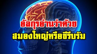 คัมภีร์อัลกุรอ่าน ว่าด้วยเรื่องสมองใหญ่หรือซีรีบรัม(Cerebrum)