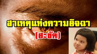 สาเหตุแห่งความอิจฉา (ฮะซัด)