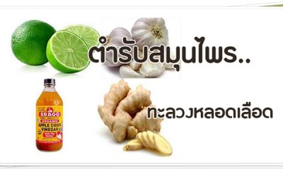 ตำรับสมุนไพรทะลวงหลอดเลือด ด้วยภูมิปัญญาโบราณ เพียง 2 นาที