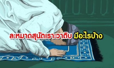 ละหมาดสุนัตเราะวาติบ มีอะไรบ้าง