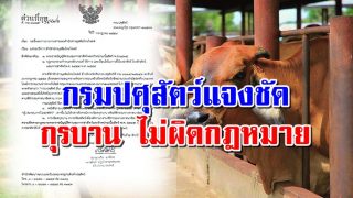 กร มปศุสั ตว์ยืนยัน 