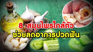8 สมุนไพรใกล้ตัว ที่ช่วยลดอาการปวดฟัน