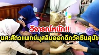 วิจารณ์หนัก!! นักศึกษาสัตวแพทย์มุสลิมออกฉีดวัคซีนสุนัข (ชมคลิป)