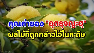 คุณค่าของ 
