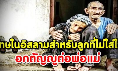 โทษในอิสลามสำหรับลูกที่ไม่ใส่ใจหรือ อกตัญญูต่อพ่อแม่