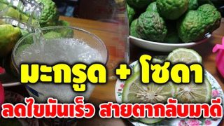 สูตรน้ำมะกรูดโซดา ลดไขมันในเลือด บำรุงสายตา
