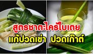 สูตรทำชาตะไคร้ใบเตย ชงดื่มวันละ 1 แก้วก่อนนอน แก้ปวดเข่า ข้อเข่า ลดปวดเก๊าต์ ได้ดีมากๆ