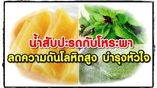 ผลลัพธ์มหาศาล น้ำสับปะรดกับโหระพา ดื่มวันละ 1 แก้ว ตอนเช้า