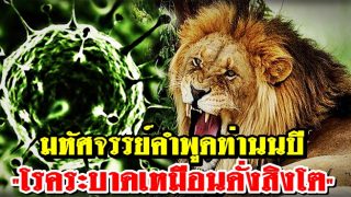 มหัศจรรย์แห่งคำพูดนบี 
