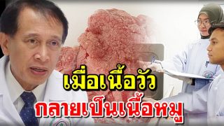 เมื่อเนื้อวัวกลายเป็นเนื้อหมู : รศ.ดร.วินัย ดะห์ลัน