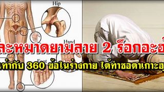 ละหมาดยามสาย 2 ร็อกอะฮ์ เท่ากับ 360 ข้อในร่างกาย ได้ทำซอดาเกาะฮฺ