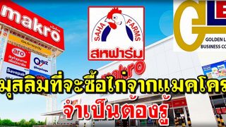 มุสลิมที่จะซื้อไก่จากแมคโคร จำเป็นต้องรู้
