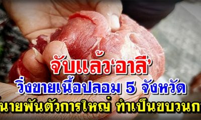 จับแล้ว‘อาลี’ วิ่งขายเนื้อปลอม 5 จังหวัด ชี้นายพันตัวการใหญ่ ทำเป็นขบวนการ