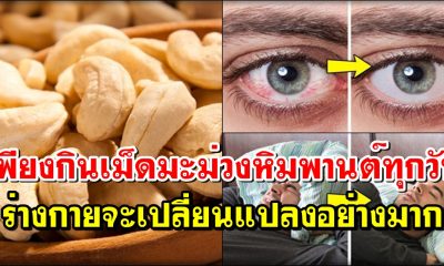 เพียงกินเม็ดมะม่วงหิมพานต์ ทุกวัน ร่างกายจะเปลี่ยนแปลงอย่างมาก
