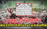 อ่านซูเราะห์นี้ทุกๆคืน พ้นจากการทรมานในหลุมศพ