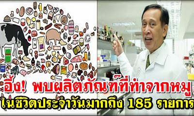 อึ้ง! พบผลิตภัณฑ์ที่ทำจากหมู ที่ใช้ในชีวิตประจำวันมากถึง 185 รายการ
