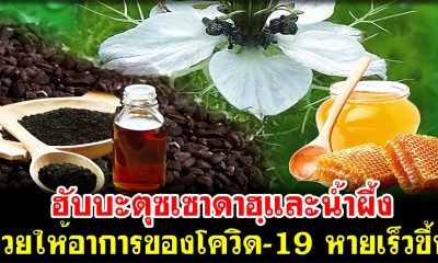 น้ำมันเทียนดำ(ฮับบะตุซเซาดาฮฺ) และน้ำผึ้ง ช่วยให้อาการของโควิด-19 หายเร็วขึ้น