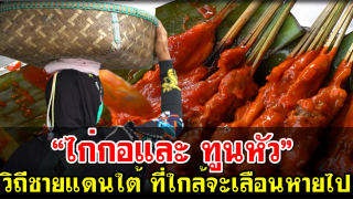 “ไก่กอและ ทูนหัว” วิถีชายแดนใต้ ที่ใกล้จะเลือนหายไป
