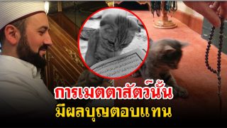 อิสลามสอนว่าการมีเมตตาต่อสัตว์จะได้รับผลบุญตอบแทน