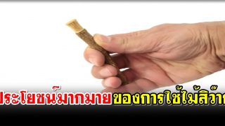 ประโยชน์มากมายของการใช้ไม้สิว๊าก