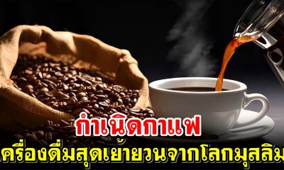 กำเนิดกาแฟเครื่องดื่มสุดเย้ายวนจากโลกมุสลิม