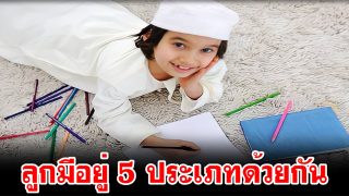 ลูกมีอยู่ 5 ประเภทด้วยกัน