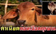 คำเนียตเชือดกุรบาน
