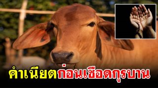คำเนียตเชือดกุรบาน